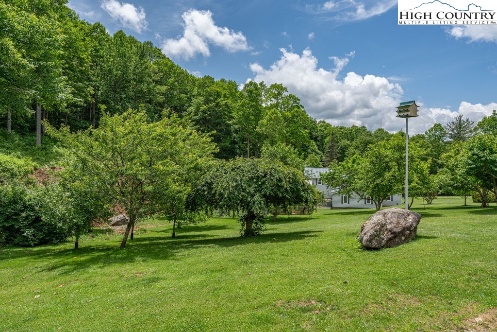 175 Roaring Fork Road Property Photo 18