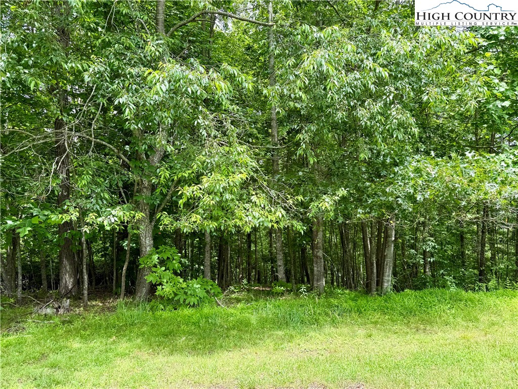 Lot 20 Twin Bridges Circle Property Photo 2