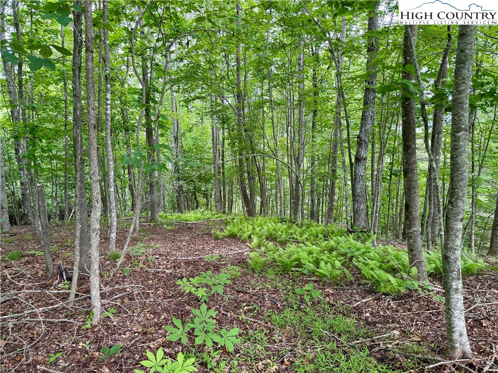 Lot 20 Twin Bridges Circle Property Photo 3