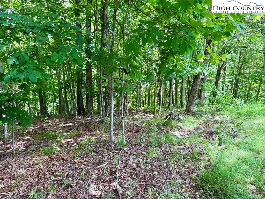 Lot 20 Twin Bridges Circle Property Photo 4