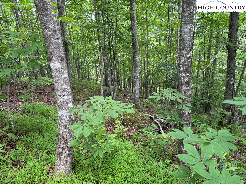 Lot 20 Twin Bridges Circle Property Photo 5