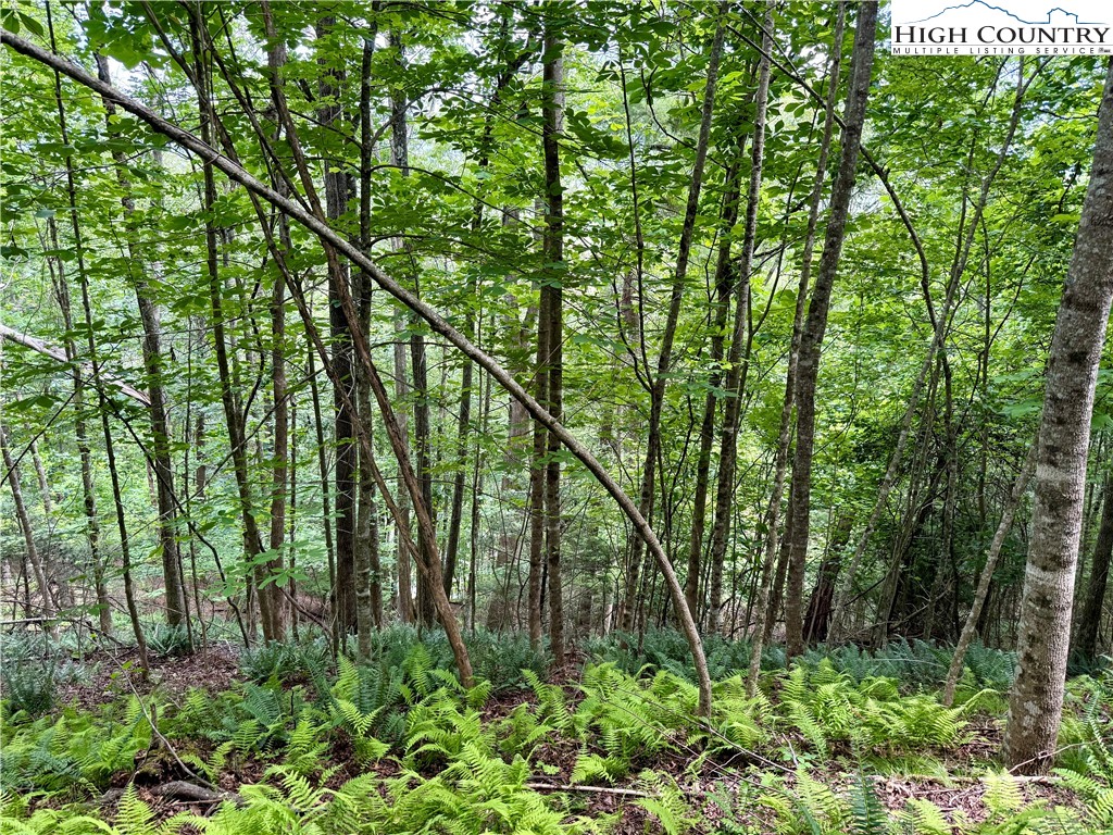 Lot 20 Twin Bridges Circle Property Photo 6