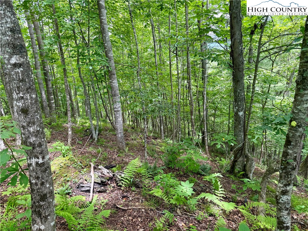Lot 20 Twin Bridges Circle Property Photo 7