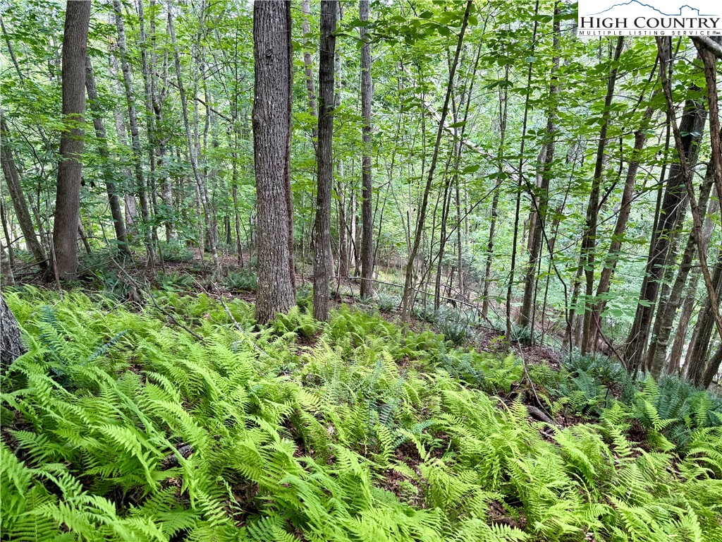 Lot 20 Twin Bridges Circle Property Photo 8