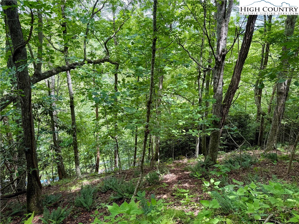 Lot 20 Twin Bridges Circle Property Photo 9