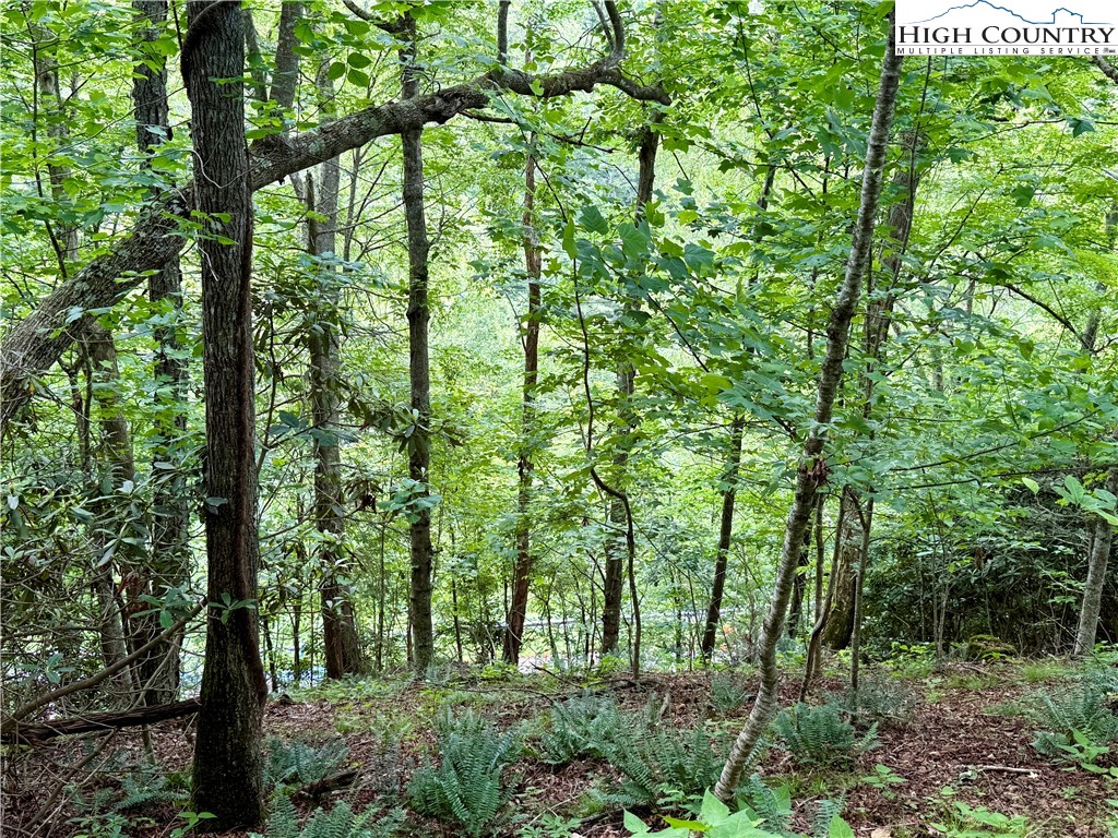 Lot 20 Twin Bridges Circle Property Photo 10