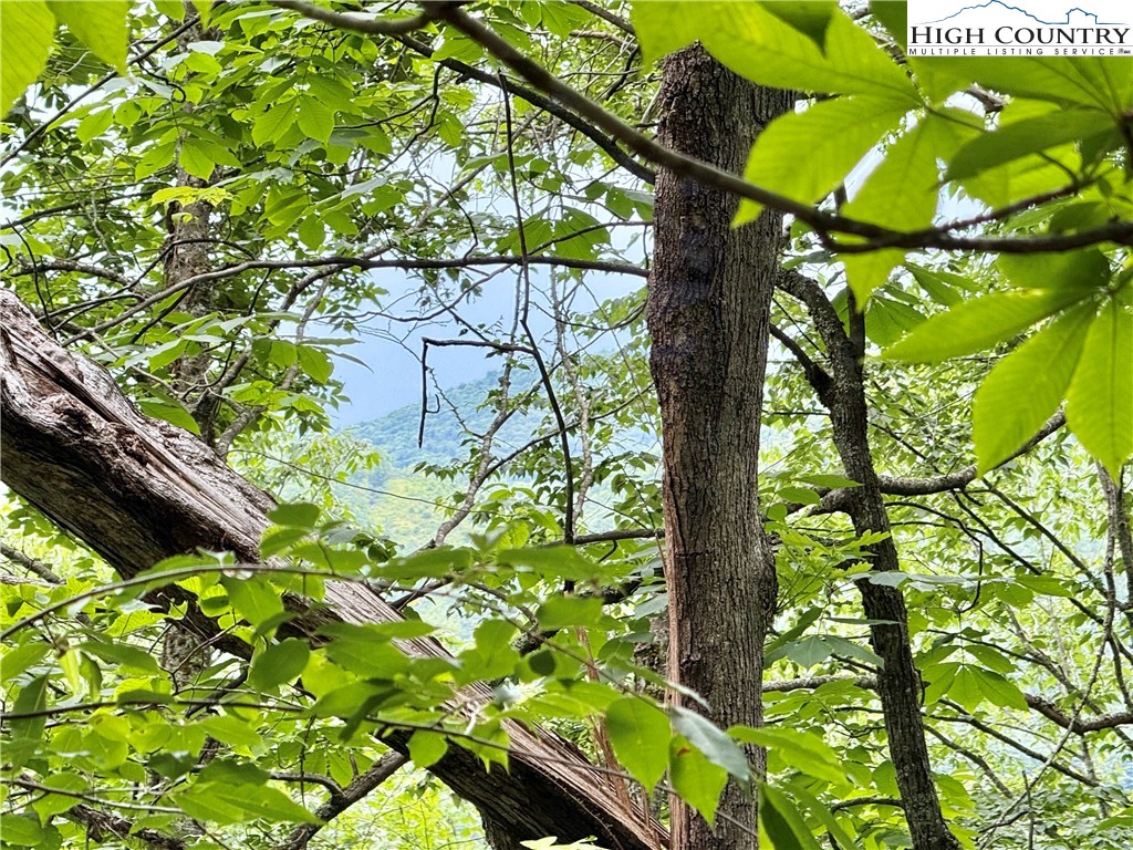 Lot 20 Twin Bridges Circle Property Photo 12