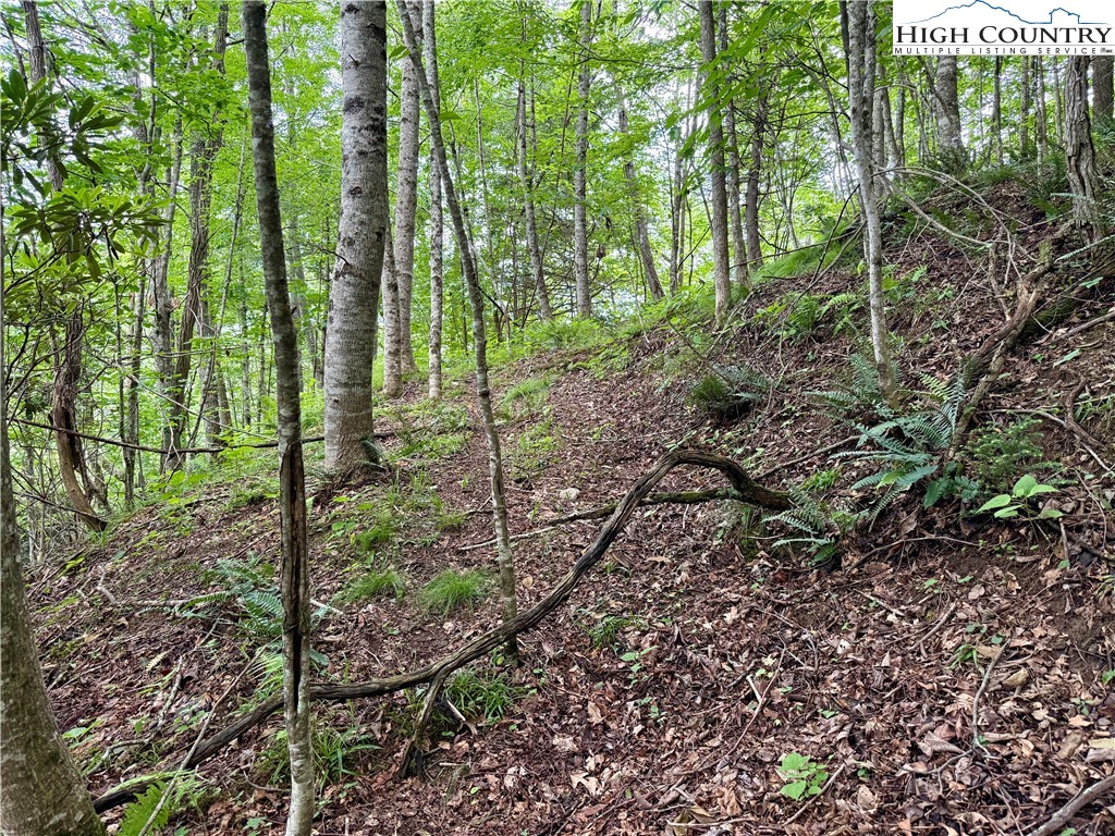 Lot 20 Twin Bridges Circle Property Photo 13