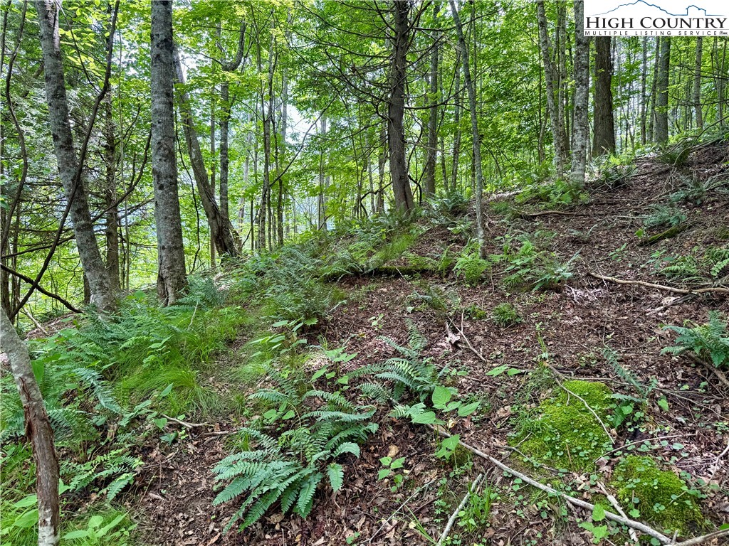 Lot 20 Twin Bridges Circle Property Photo 14