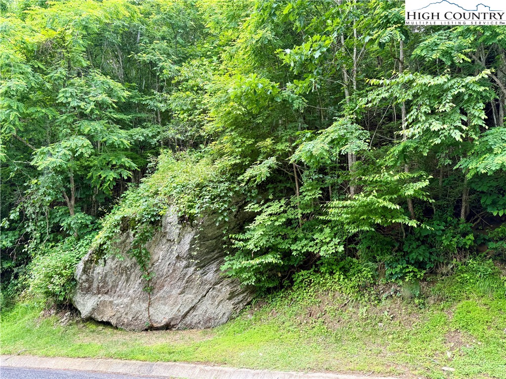 Lot 20 Twin Bridges Circle Property Photo 15
