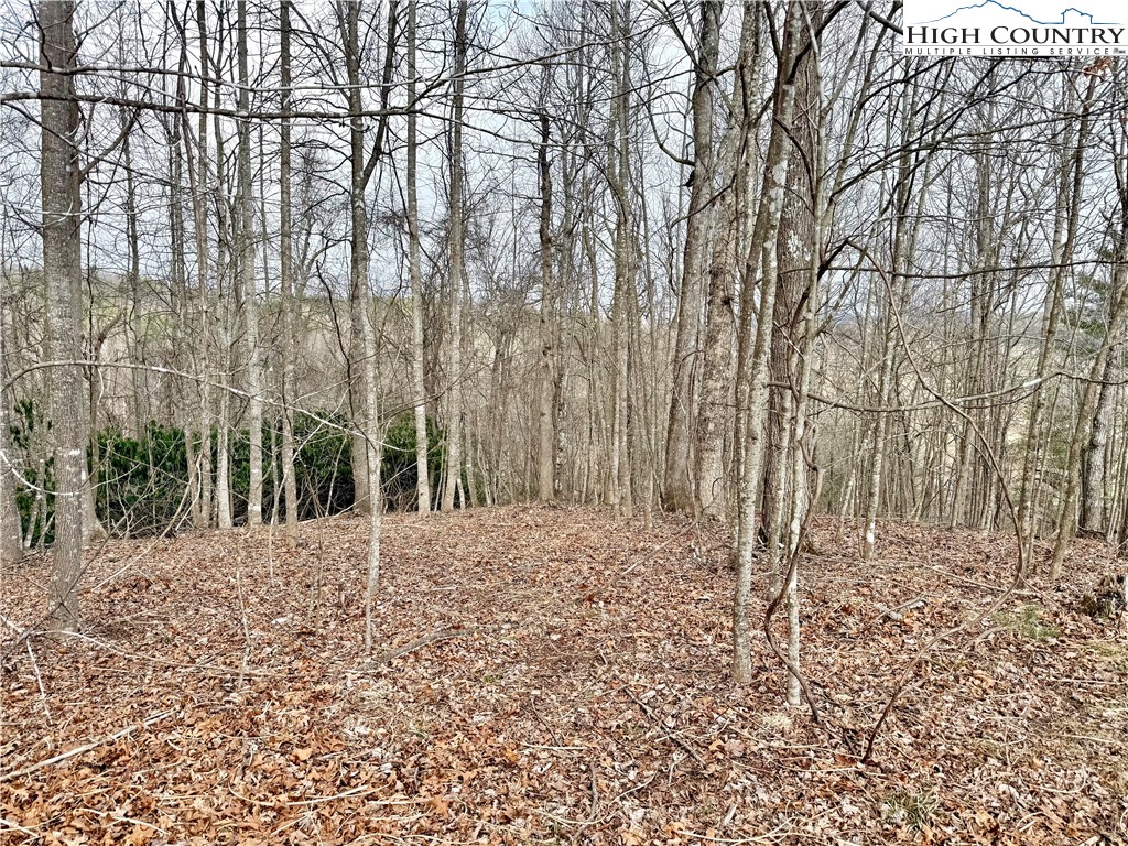Lot 20 Twin Bridges Circle Property Photo 20