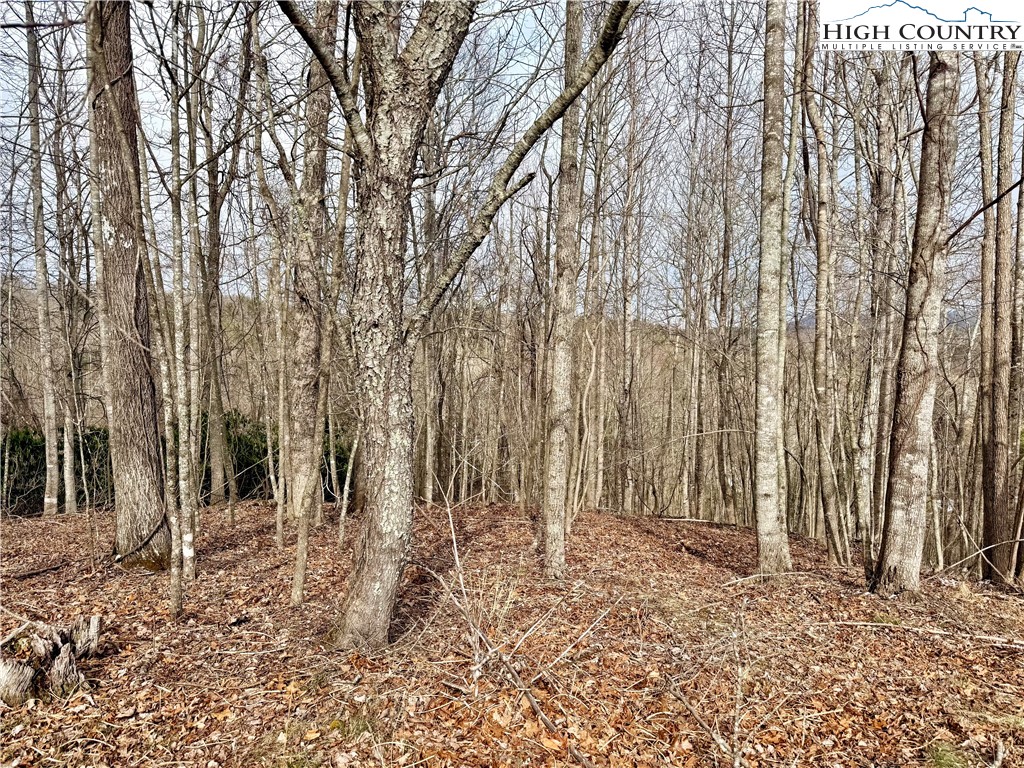 Lot 20 Twin Bridges Circle Property Photo 21