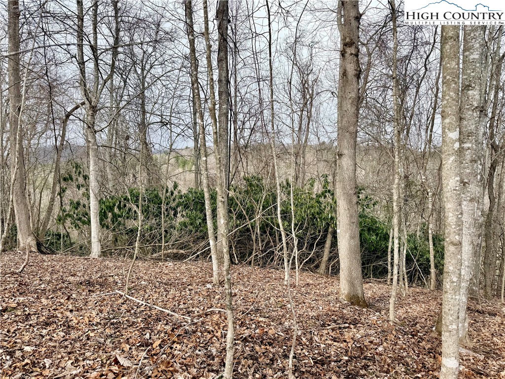 Lot 20 Twin Bridges Circle Property Photo 22
