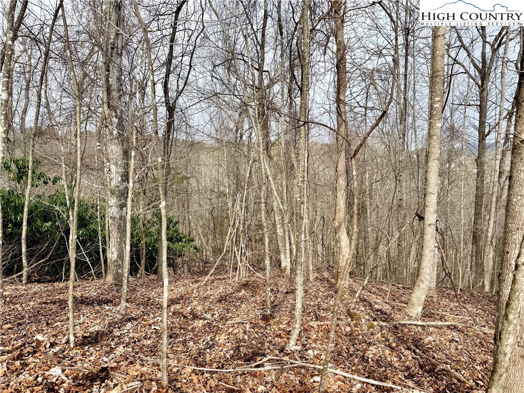 Lot 20 Twin Bridges Circle Property Photo 23