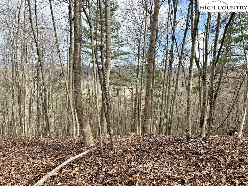 Lot 20 Twin Bridges Circle Property Photo 25