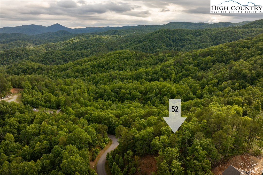 52 Coral Bells Trail Property Photo 5