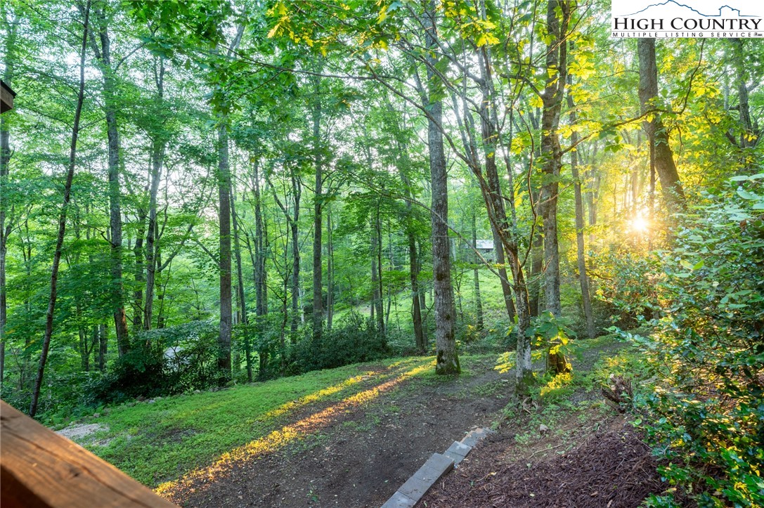 170 Mountain Laurel Lane Property Photo 31
