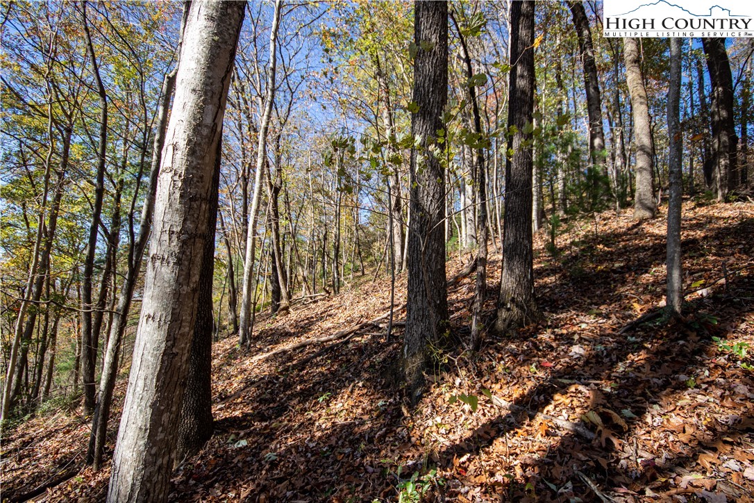 Lot# 547 Autumn Ridge Drive Property Photo 2