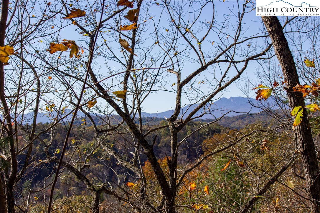 Lot# 547 Autumn Ridge Drive Property Photo 4