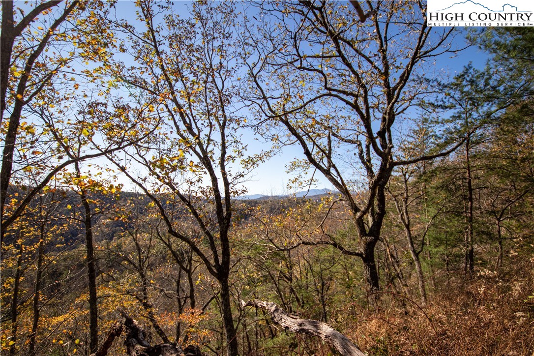 Lot# 547 Autumn Ridge Drive Property Photo 5