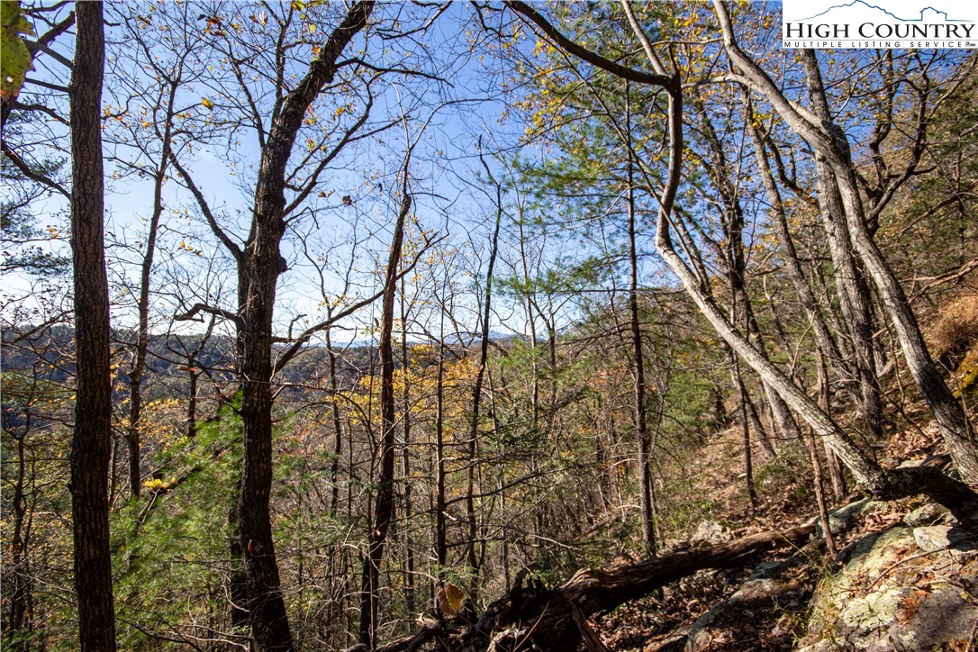 Lot# 547 Autumn Ridge Drive Property Photo 6