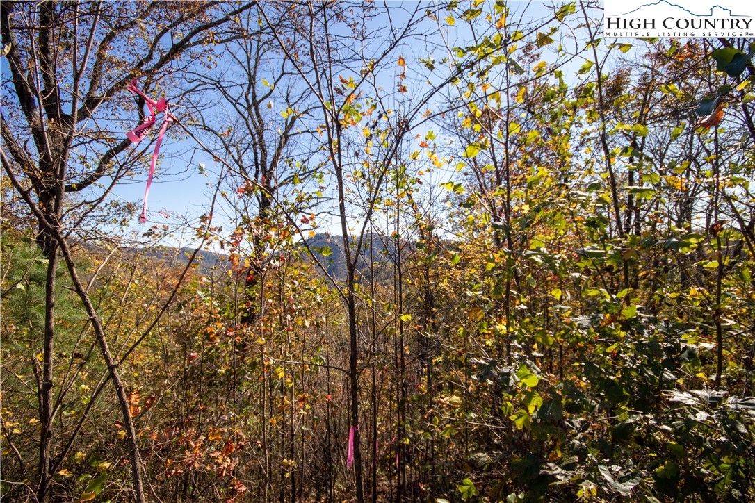 Lot# 547 Autumn Ridge Drive Property Photo 7