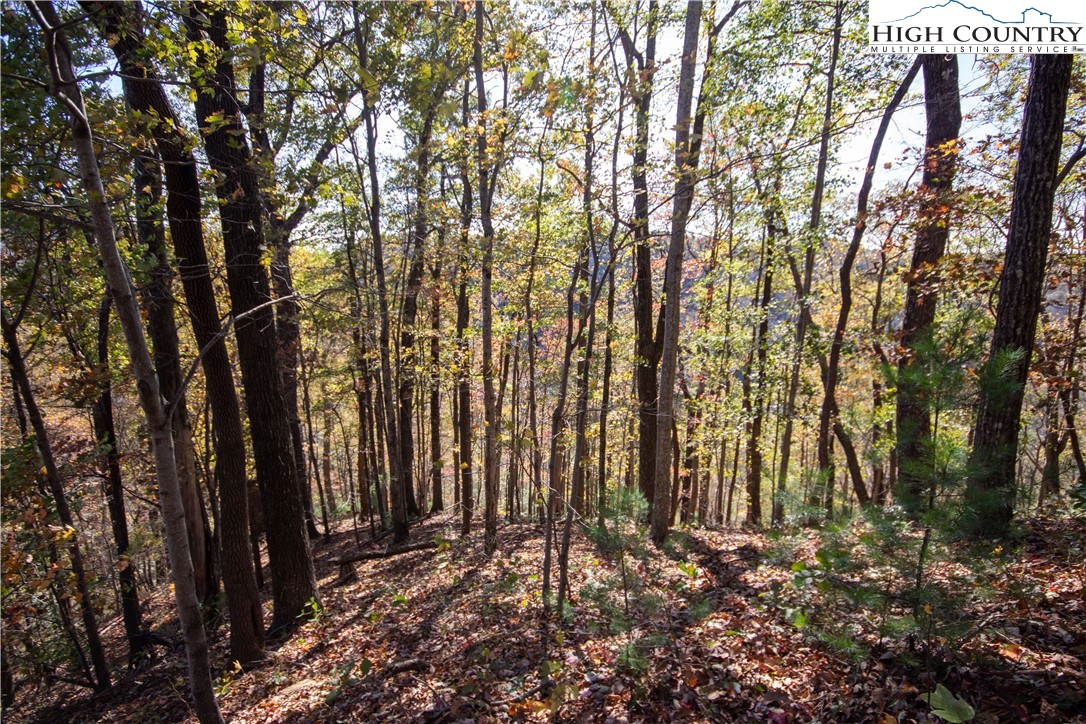 Lot# 547 Autumn Ridge Drive Property Photo 8