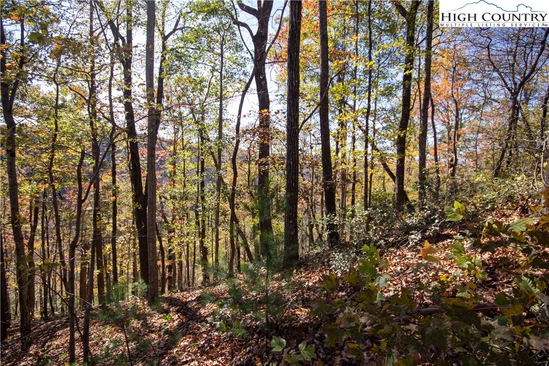 Lot# 547 Autumn Ridge Drive Property Photo 9