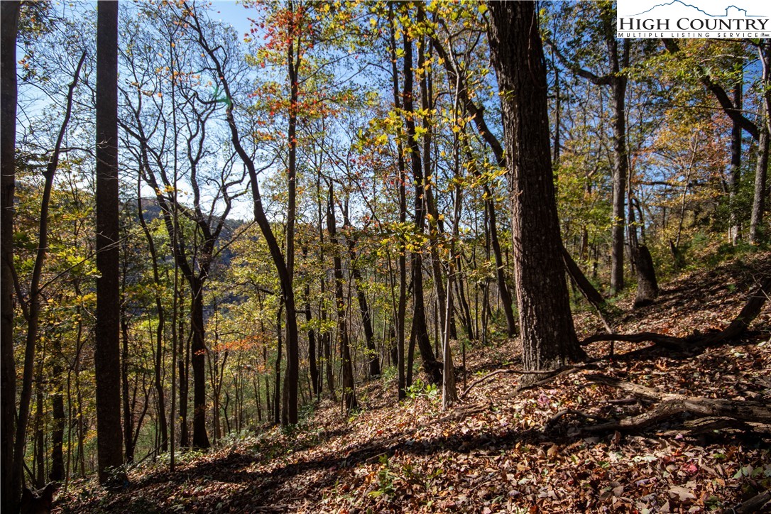 Lot# 547 Autumn Ridge Drive Property Photo 10