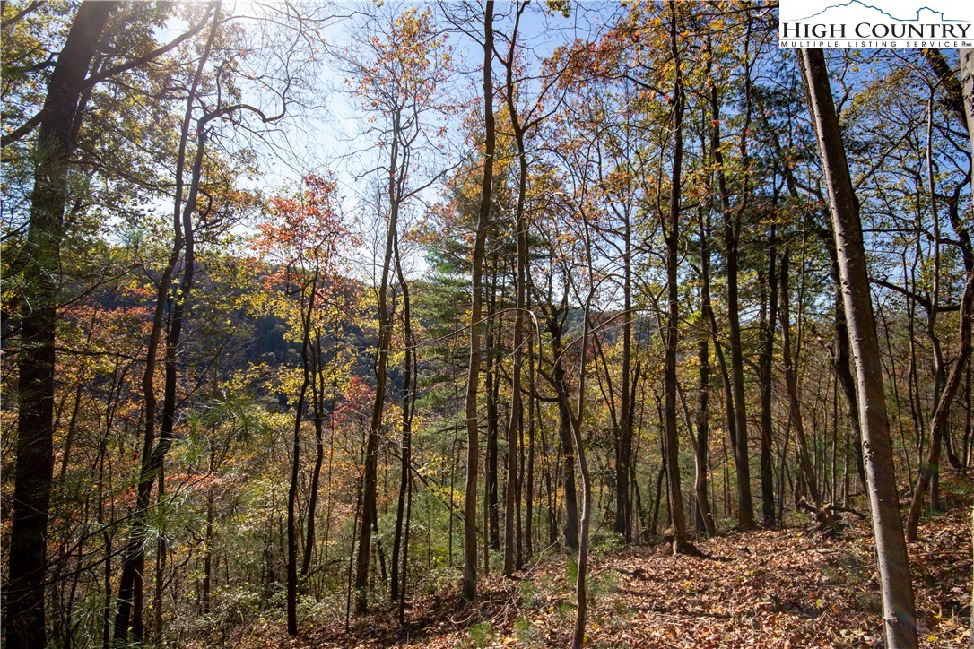 Lot# 547 Autumn Ridge Drive Property Photo 11