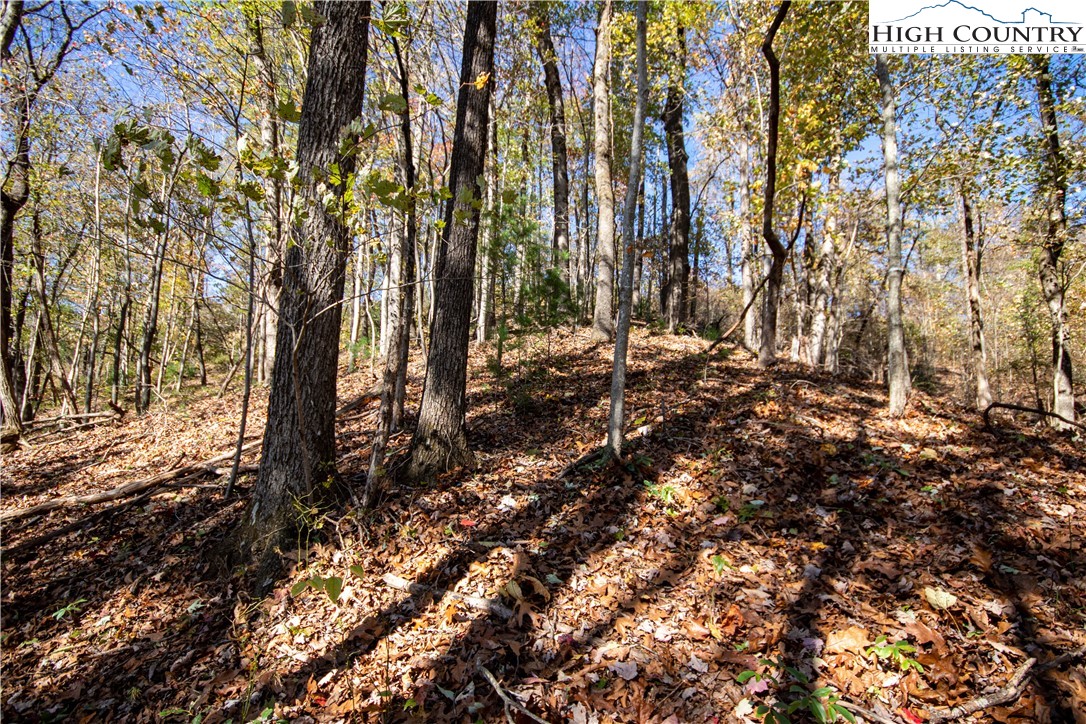 Lot# 547 Autumn Ridge Drive Property Photo 12