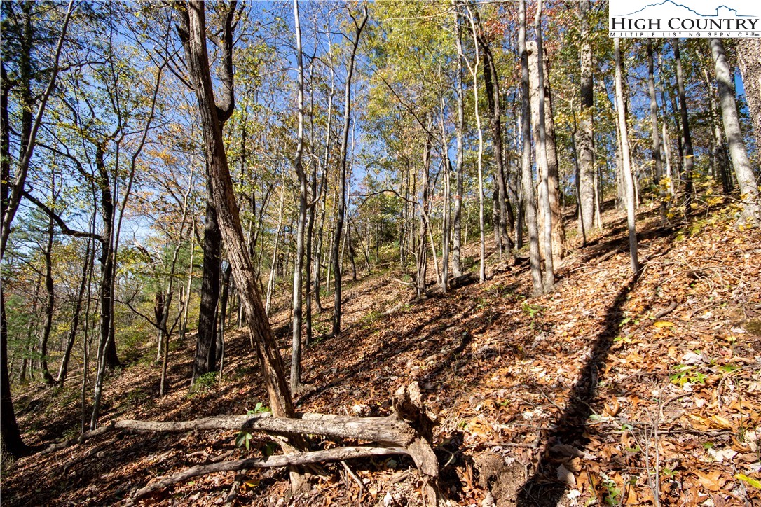 Lot# 547 Autumn Ridge Drive Property Photo 13
