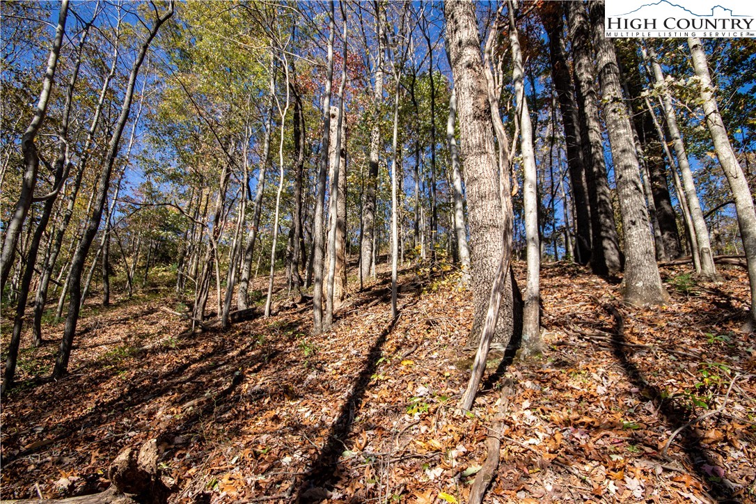 Lot# 547 Autumn Ridge Drive Property Photo 14