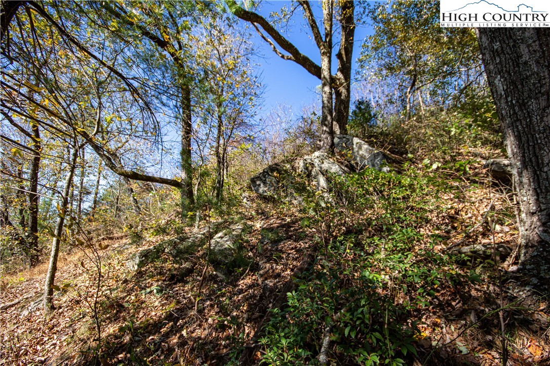 Lot# 547 Autumn Ridge Drive Property Photo 15