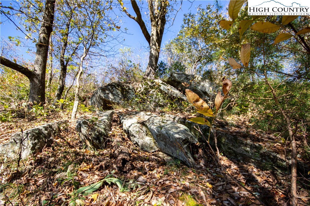 Lot# 547 Autumn Ridge Drive Property Photo 16