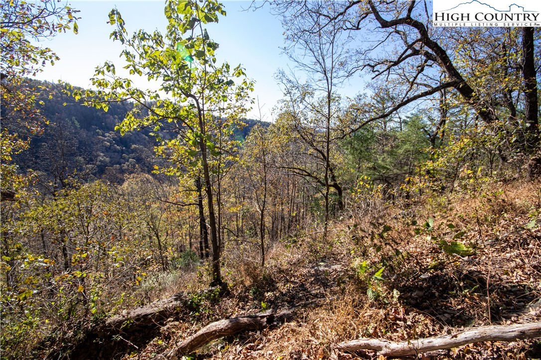 Lot# 547 Autumn Ridge Drive Property Photo 17