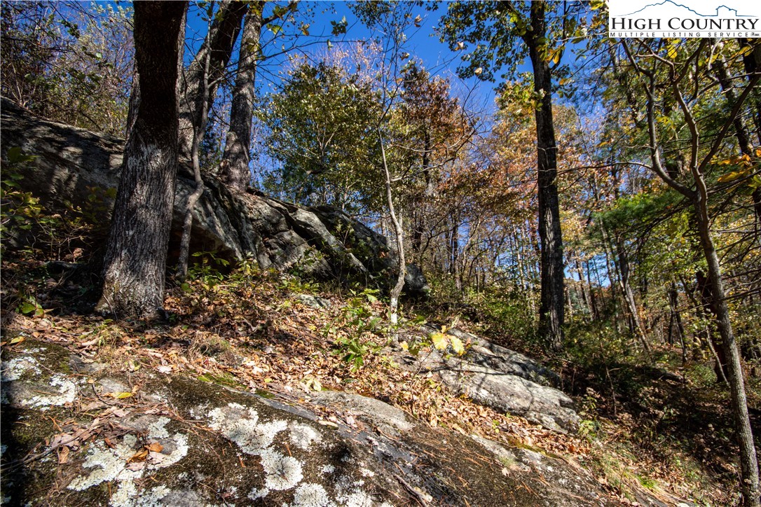 Lot# 547 Autumn Ridge Drive Property Photo 18