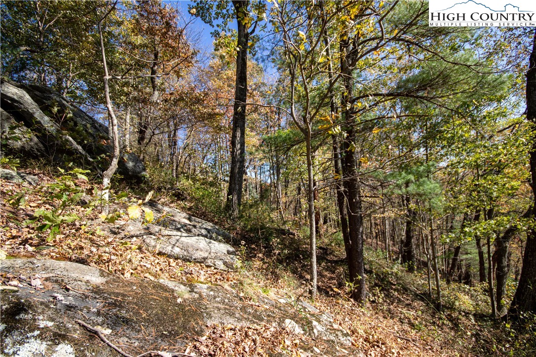 Lot# 547 Autumn Ridge Drive Property Photo 19