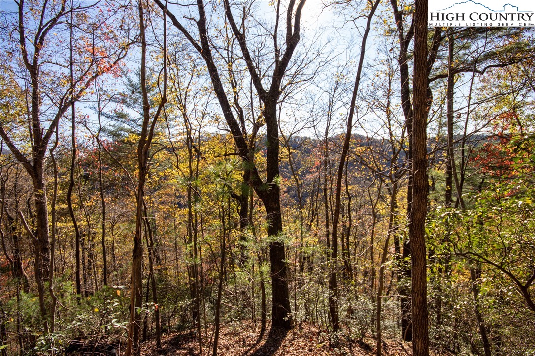 Lot# 547 Autumn Ridge Drive Property Photo 25