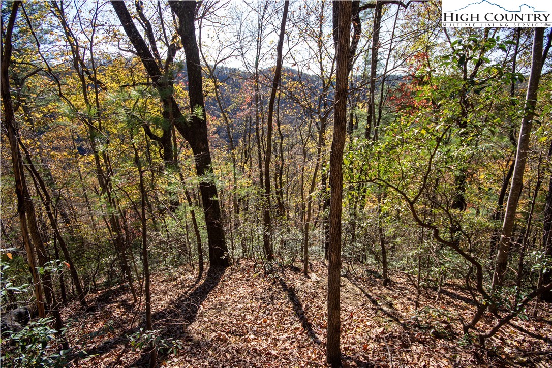 Lot# 547 Autumn Ridge Drive Property Photo 26