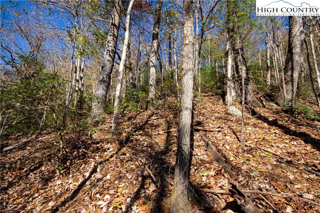 Lot# 547 Autumn Ridge Drive Property Photo 27