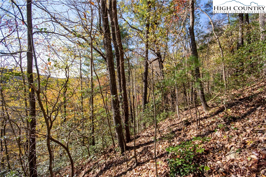 Lot# 547 Autumn Ridge Drive Property Photo 28