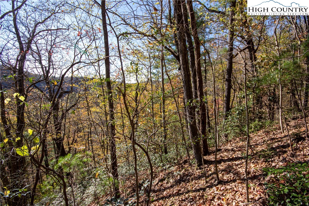 Lot# 547 Autumn Ridge Drive Property Photo 29