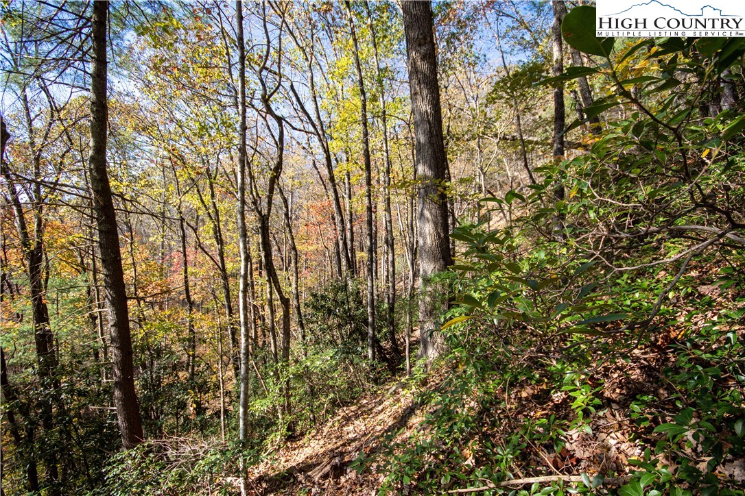 Lot# 547 Autumn Ridge Drive Property Photo 30