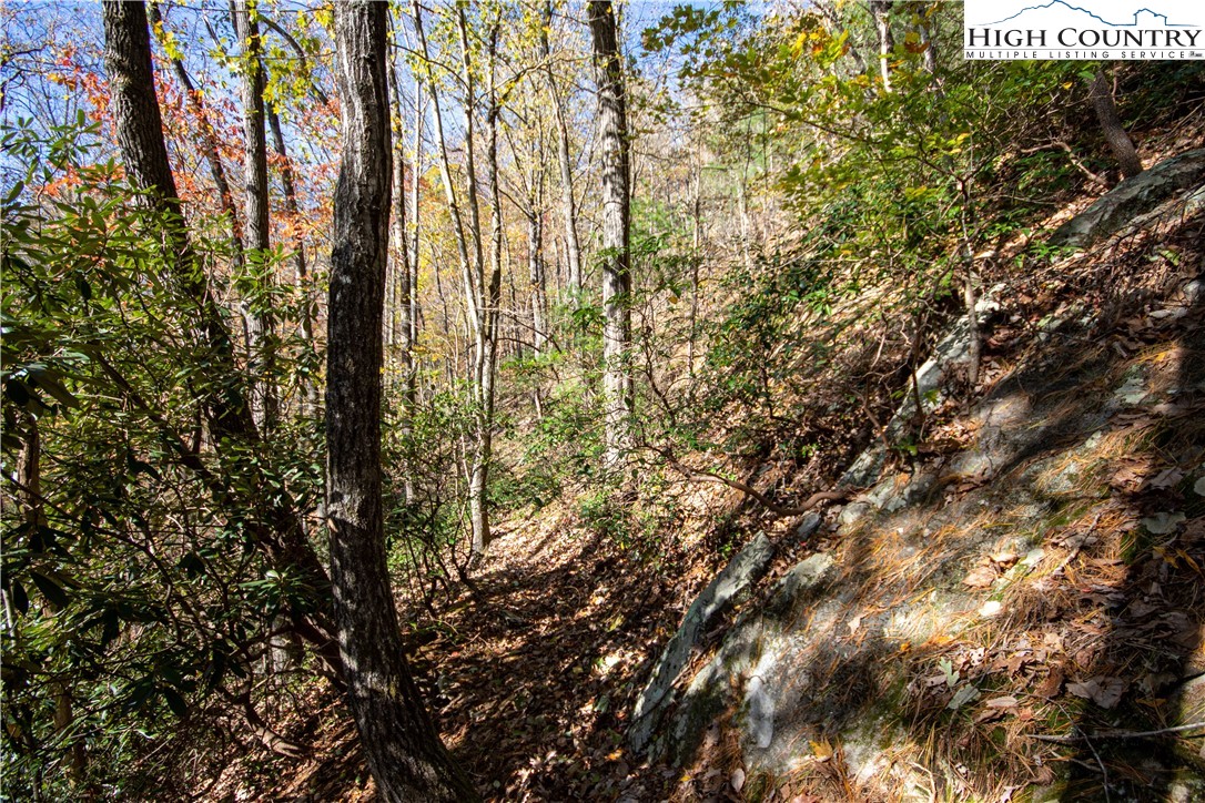 Lot# 547 Autumn Ridge Drive Property Photo 31