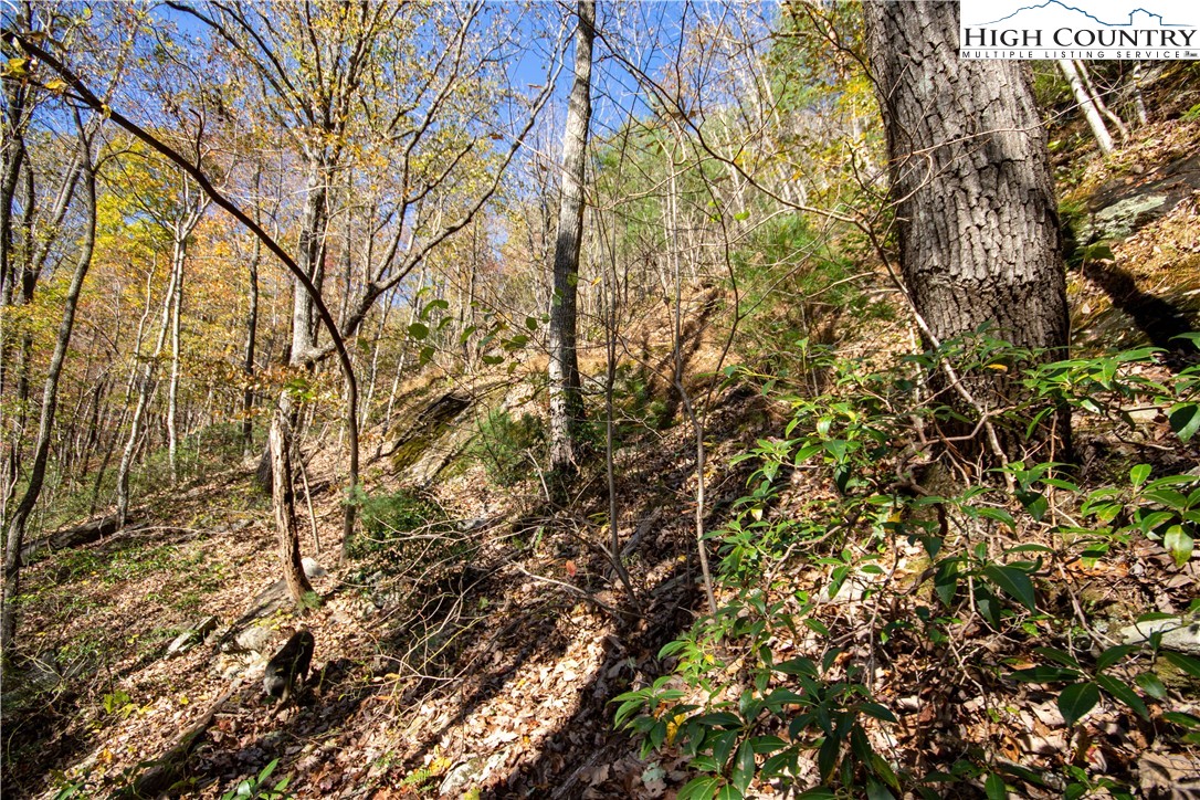 Lot# 547 Autumn Ridge Drive Property Photo 32