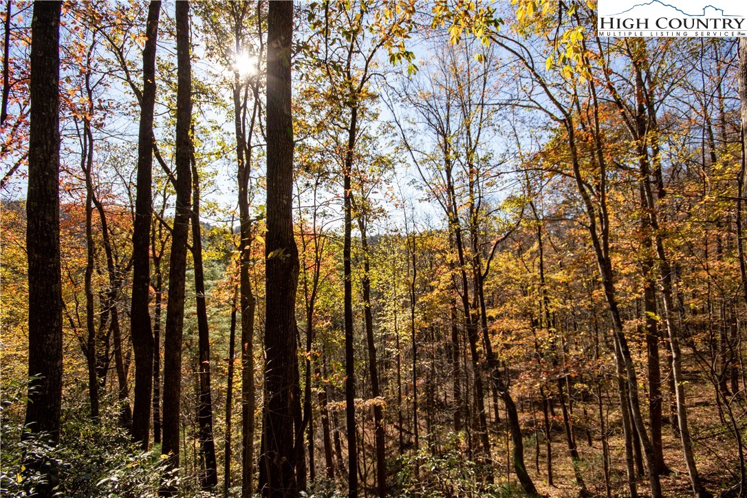 Lot# 547 Autumn Ridge Drive Property Photo 33