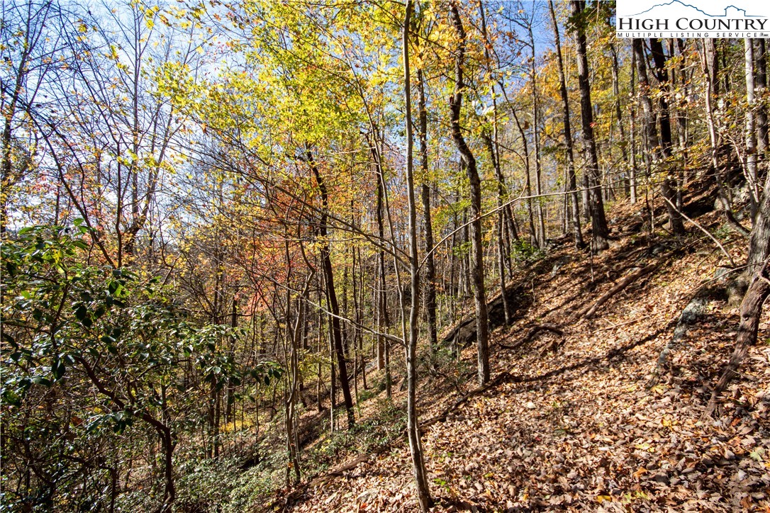 Lot# 547 Autumn Ridge Drive Property Photo 34