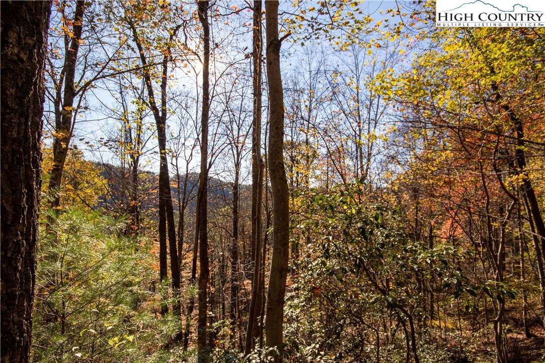 Lot# 547 Autumn Ridge Drive Property Photo 35