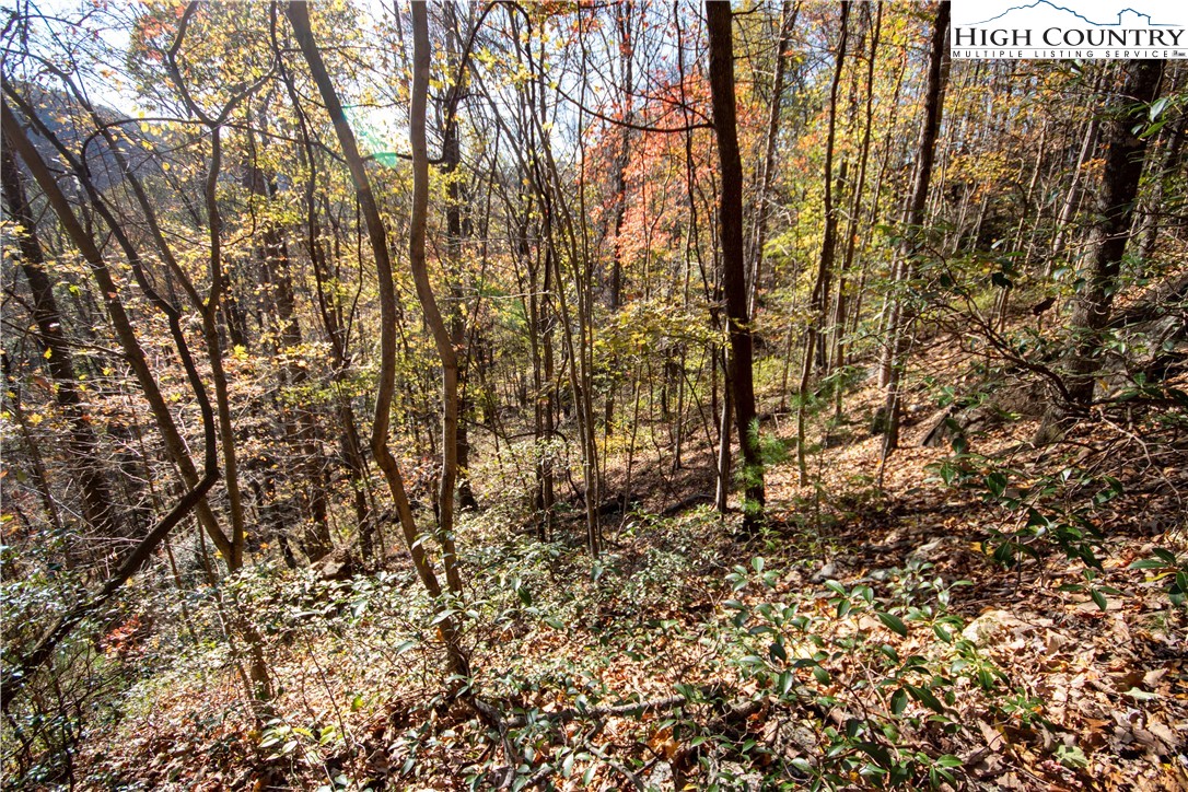 Lot# 547 Autumn Ridge Drive Property Photo 36